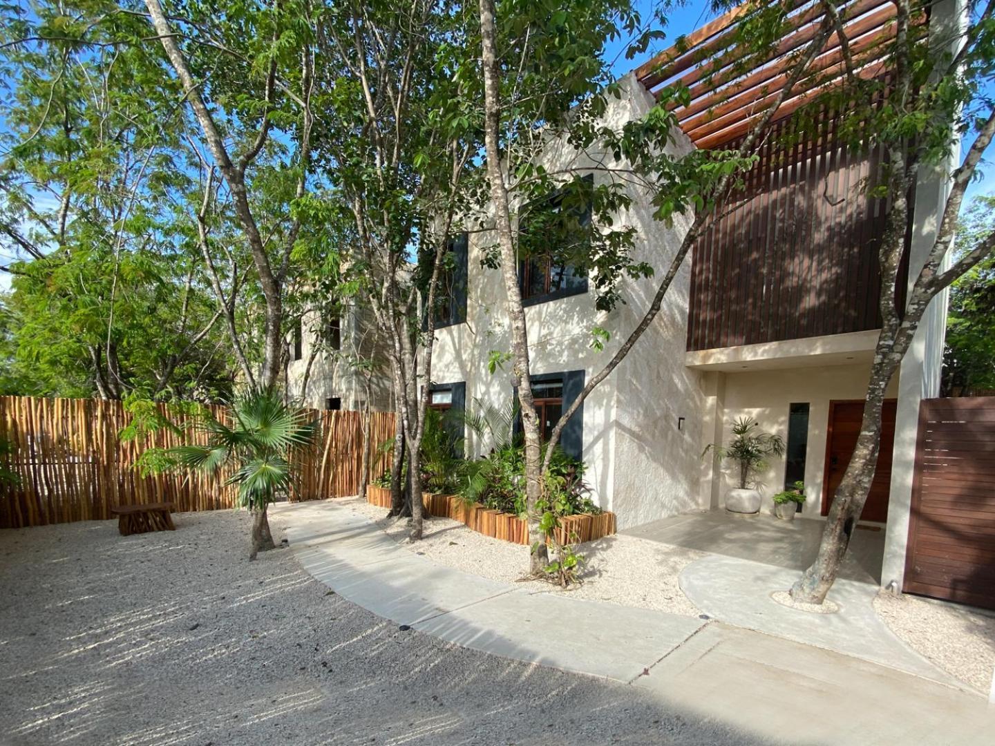 El Rey Loro - Lux 4 Bed Villa @Bluedeerטולום מראה חיצוני תמונה
